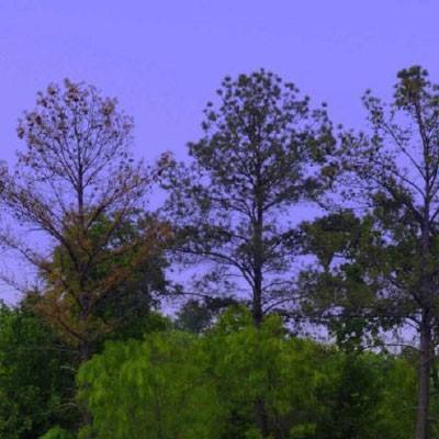 m6米乐官方入口app下载